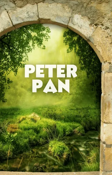 Capa do e-book bônus Peter Pan