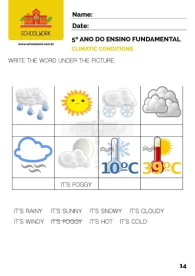 SCHOOLWORK_VOL4_5_e_6_ensino_fundamental14